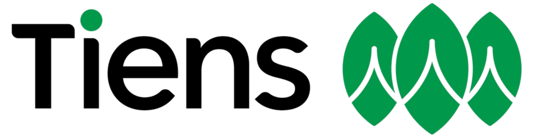 Tiens Logo
